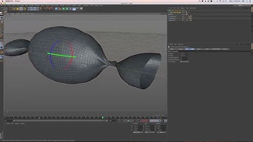 DYNAMIC CANDY WRAPPER ASKGSG