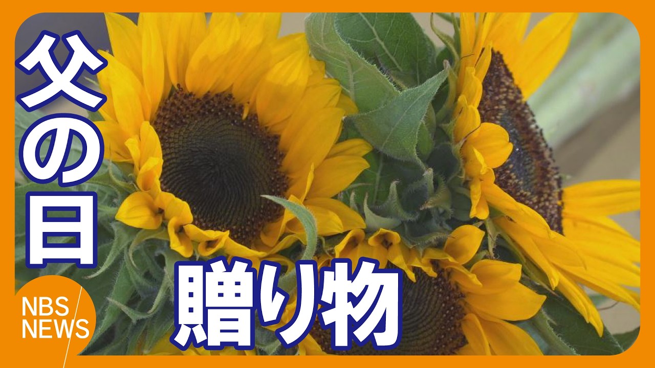 Sunflower shipments begin for Father's Day gifts: 