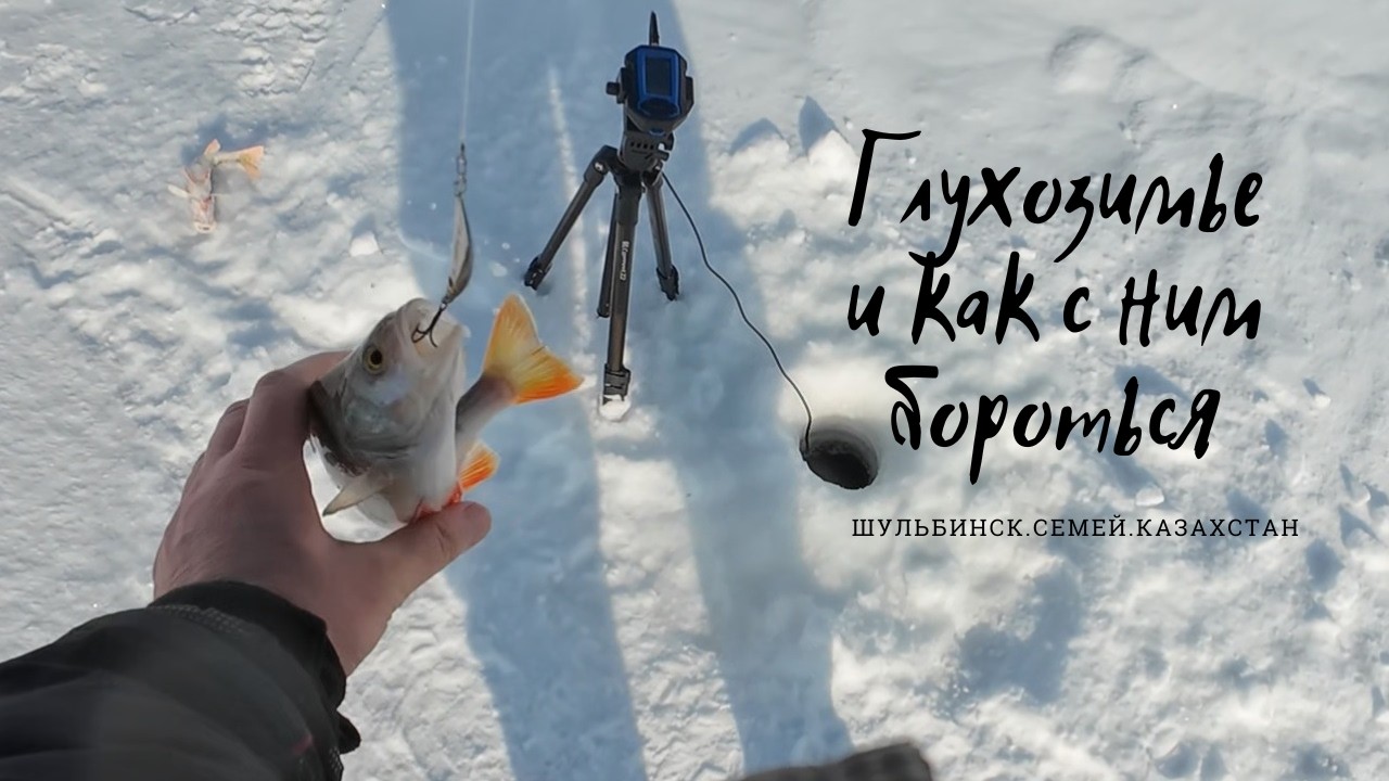 ЧТО такое ГЛУХОЗИМЬЕ?