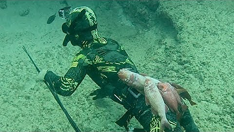 3-Prong Spearfishing In Hawaii For Delicious And Exotic Reef Fish | Ft. Island Catch And Cook