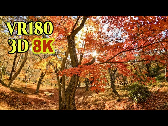 レモンツリー様 ステージ1 、ステージ2 sddefault.jpg