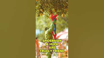 Spiderman en Hulk zijn échte vrienden #spiderman #hulk #superheld #marvel #shorts #vrienden