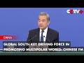 Global South Key Driving Force in Promoting Multipolar World: Chinese FM