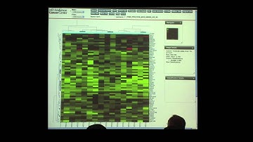 Bioinformatics and Biospecimen Workshop 2013 - Online Tools to Analyze TCGA Data by Dr. Rehan Akbani