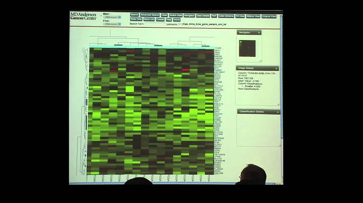 Bioinformatics and Biospecimen Workshop 2013 - Online Tools to Analyze TCGA Data by Dr. Rehan Akbani