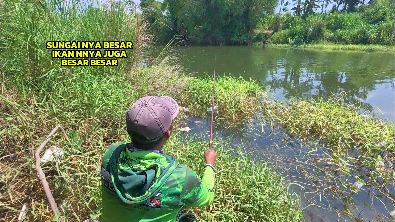 Baru tau saya kalau ada sungai besar isinya nila babon babon