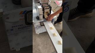 Custom-made square Samosa molding machine