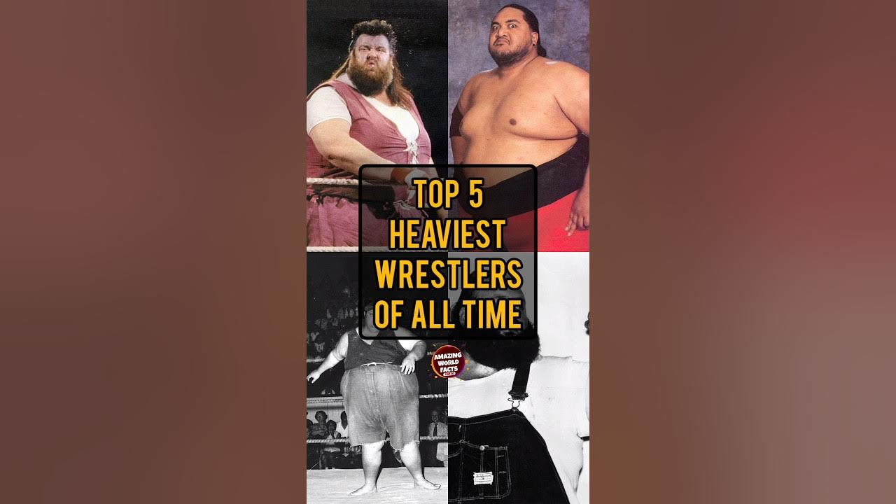 Top 5 Heaviest Wrestlers Of All Time Amazing World Facts YouTube top-5-heaviest-land-animals-top-5-animales-terrestres-mas-pesados
