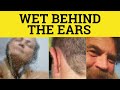 🔵 Wet Behind The Ears - Wet Behind the Ears Meaning - Idioms - ESL British English Pronunciation
