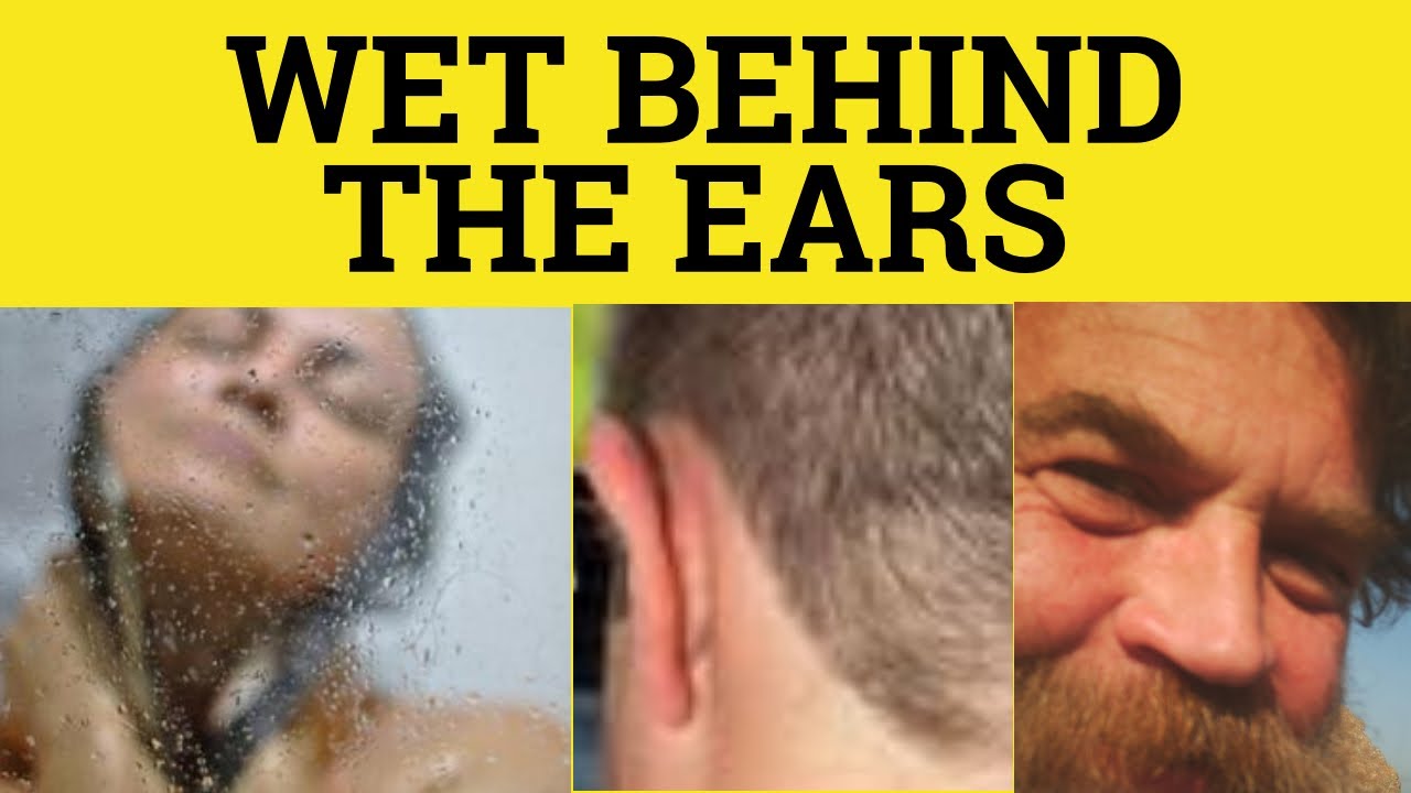 Ears the meaning behind wet Green Behind