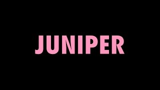 Begonia - Juniper (lyric video) chords