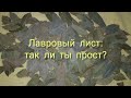 ОБЗОР И ТЕСТ ЛАВРОВЫЙ ЛИСТ: красная цена, просто, рестория, маркет перекресток, kotanyi