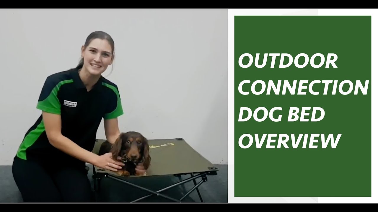 outdoor connection dog bed