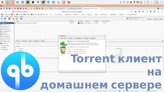 : Qbittorrent -     
