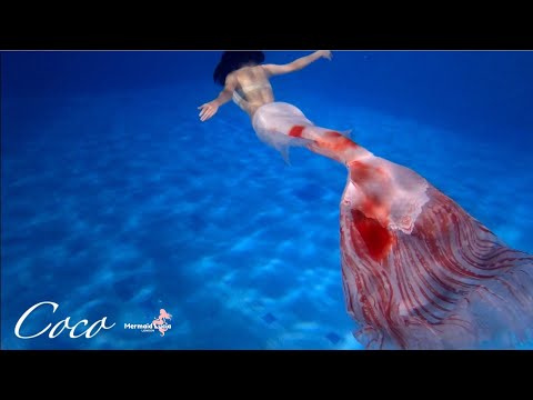 koi fish mermaid tail