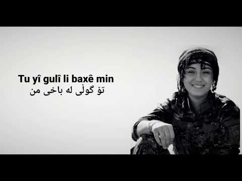 خۆشترین گۆرانی کرمانجی لەوانەیە بمرم Belkî Bimrim ژێرنووسی سۆرانی