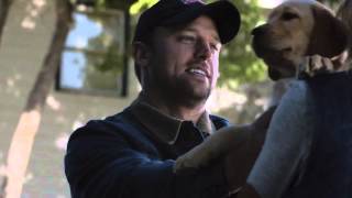 Budweiser puppy commercial set to Pony