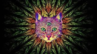 Rave Set { Only for Those Who Like to Fry II } - Best Rave Party Songs II