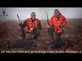 Chasse en Battue de Sangliers - Scnes de Chasse au poste ! Chasse HD