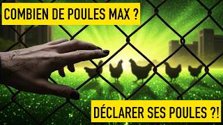 Faut - Il Déclarer Ses Poules… Aux Impôts ?