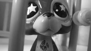 Lps: Anti-Gang Contest Video Entry (for school)