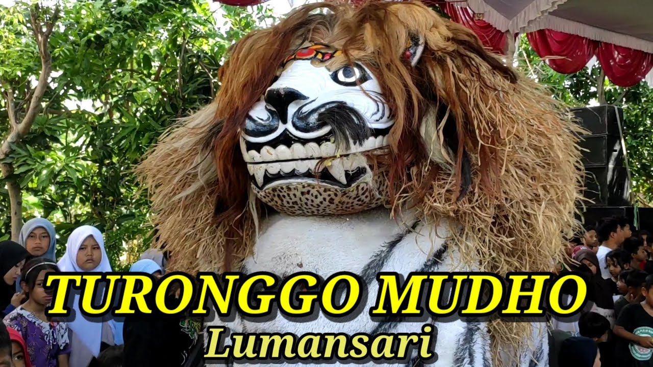 FULL DURASI BARONGAN TURONGGO MUDHO SIANG live dk  LUMBU LUMANSARI GEMUH KENDAL