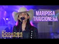 Los Dorados - Mariposa Traicionera (En Vivo)