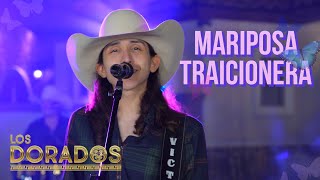 Video thumbnail of "Los Dorados - Mariposa Traicionera (En Vivo)"