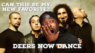 System Of A Down  Deer Dance Reaction