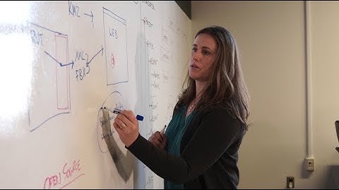 Proving Ground - Our Culture