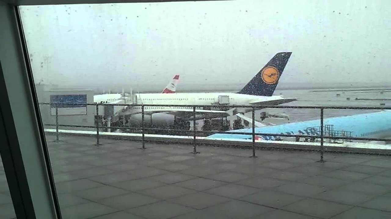 Lufthansa A380 at JFK Airport, Terminal 1, Gate 5, LH401 YouTube