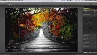 Macphun's Tonality Pro: Inspiration with Karen Hutton