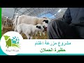 مشروع مزرعة اغنام 3 - حظيرة الحملان