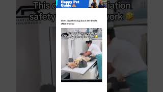 This Dog Took Radiation Safety Seriously 🐾