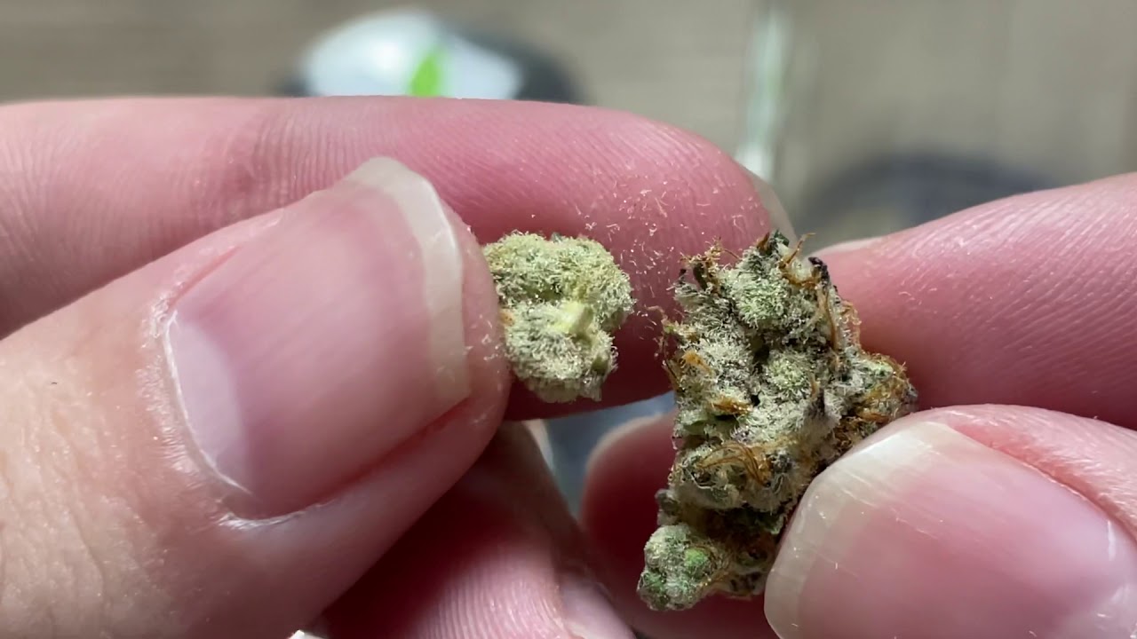 Slurricane- Justice Grown