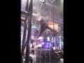 LDI 2010: ZFX Aerial Ballet