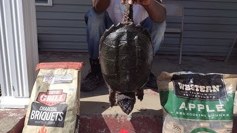BBQ Snapping Turtle Part 2