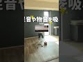 機能性抜群!おしゃれな防音ラグ見つけた!#防音対策