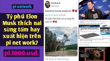 tỷ phú Elon Musk thích nai sừng tấm xuất hiện trên pi network? | pi network nhanh và mới nhất.