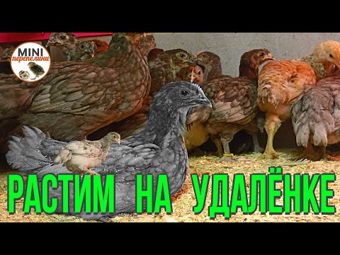 Если нельзя, но