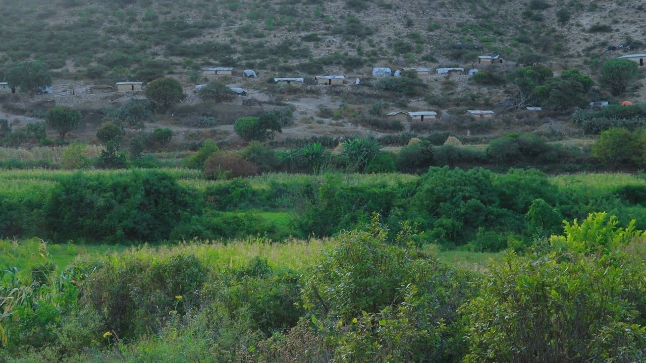GABOGABO, ILLAA JAFI-TAMAAN EE DAGMADA DAARIMI 