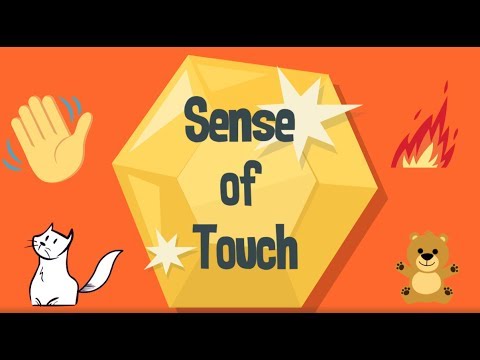 Sense of Touch 