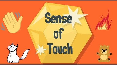 Sense of Touch