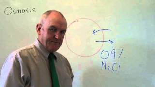 Osmosis examples