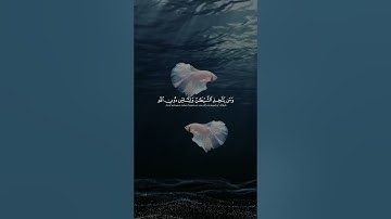 النساء | الاية 118 - 121 القارئ #ياسر_الدوسري #القران_الكريم #كرومات_قرآنیة #شاشة_سوداء