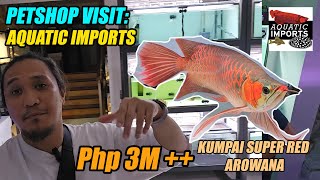 Petshop Visit: Aquatic Imports  Super Rare Arowana / Monster Fish