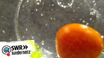 Was passiert wenn man Tomaten in Zuckerwasser legt?