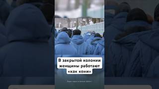 В закрытой колонии женщины работают «как кони»