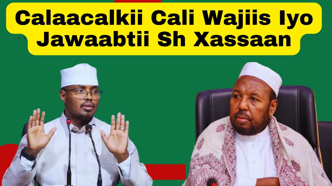 Аплодисменты Али Ваджиса и ответ Шейха Хасана относительно книги Рабигей. Почему она была ниспосл...