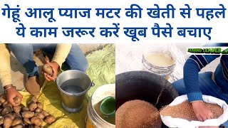 Wheat, Potato, onions, Crops seed Treatment with waste decomposer in Hindi|organic Farming